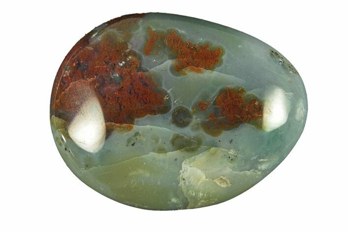 Polished Ocean Jasper Stone - New Deposit #261180